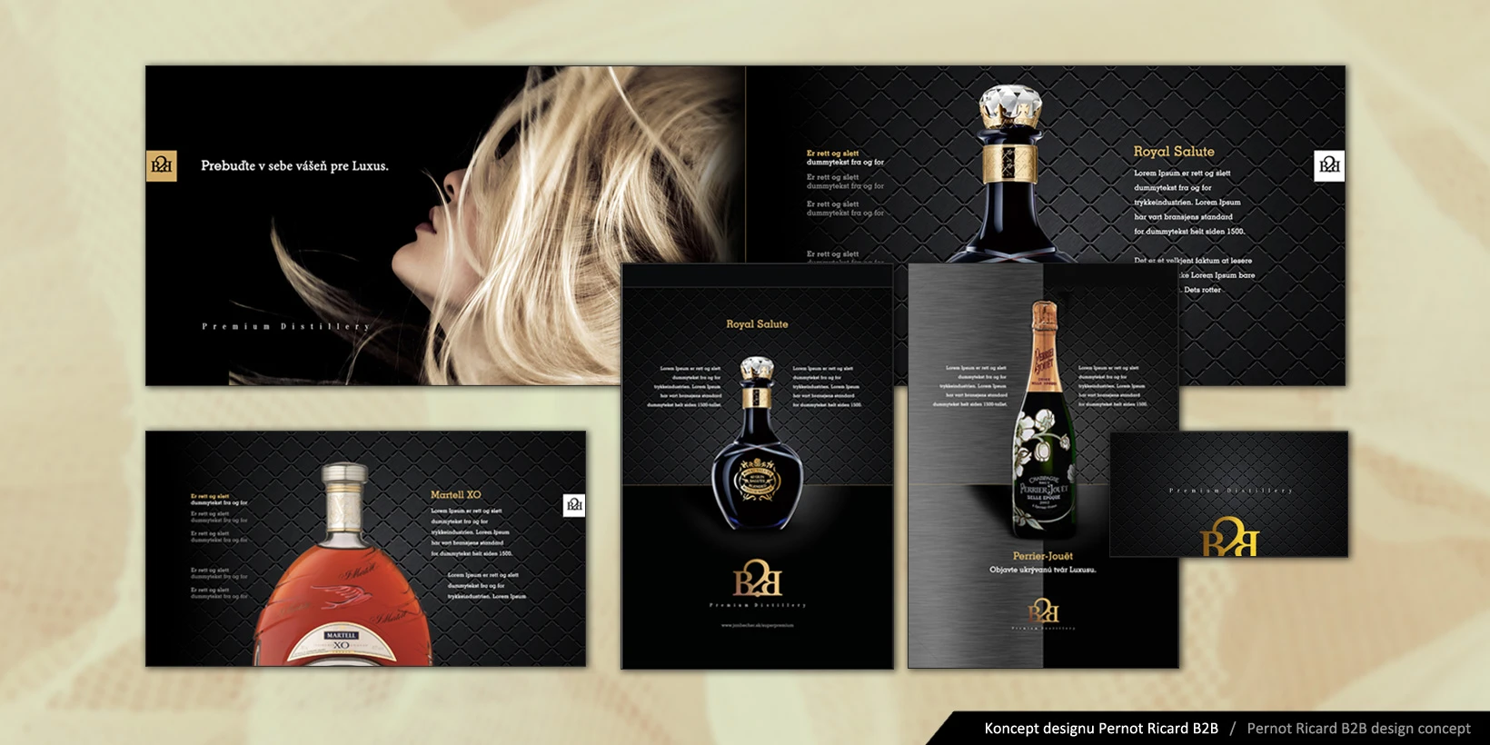 Koncept dizajn brožúry Pernod Ricard