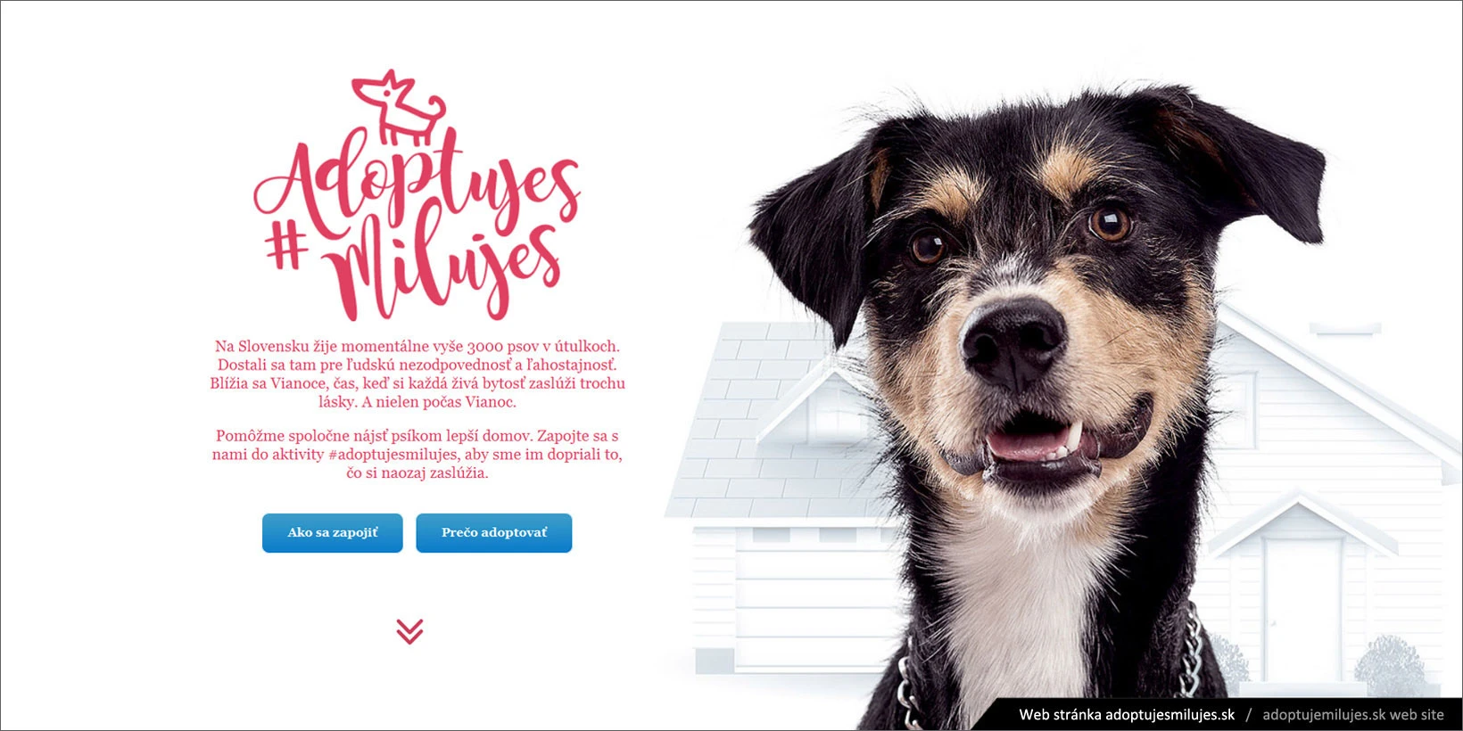 Tvorba mikrostránky Adoptujesmilujes.sk