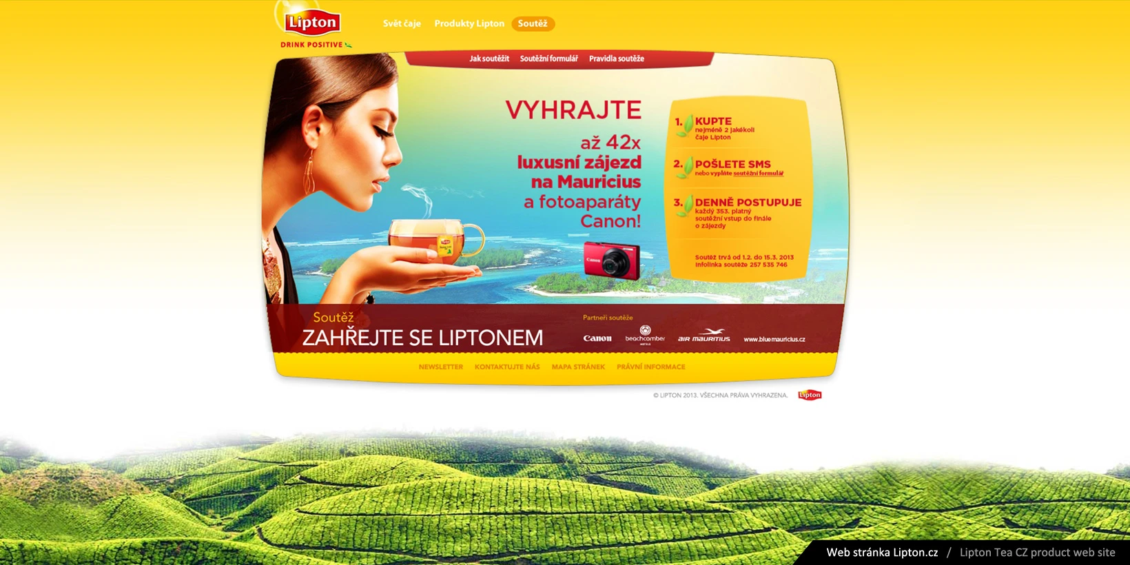 Web design lipton.sk